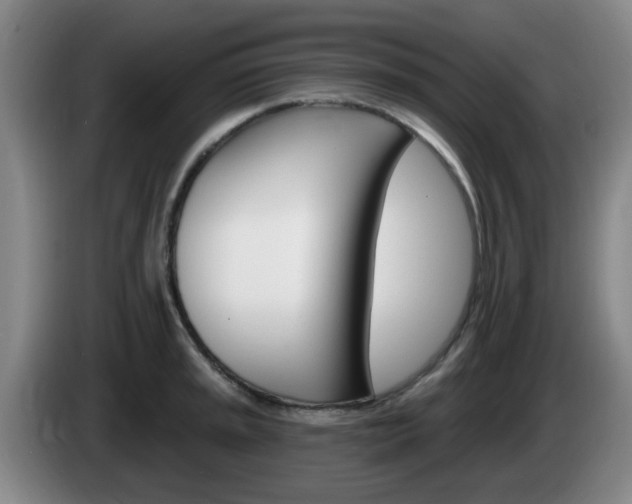 X0000085321045200703091111