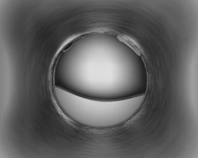 X0000085321046200703091111