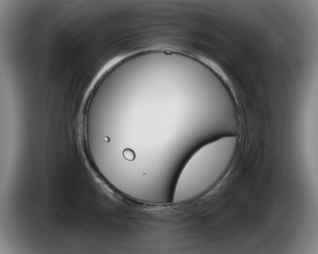 X0000085321048200703091111