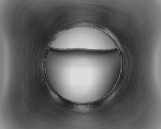 X0000085321049200703091111