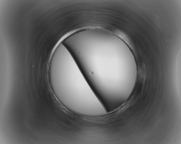 X0000085321052200703091111