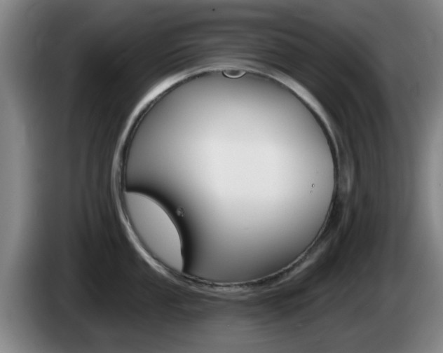 X0000085321053200703091111