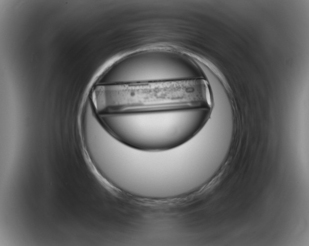 X0000085321054200703091111