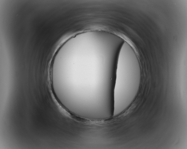 X0000085321055200703091111