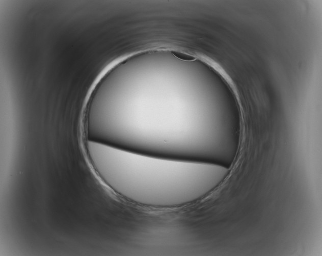 X0000085321056200703091111