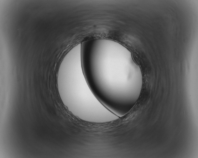 X0000085321057200703091110