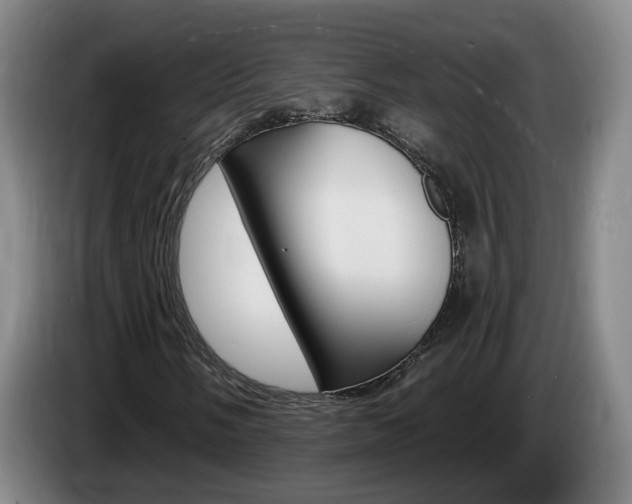 X0000085321058200703091110