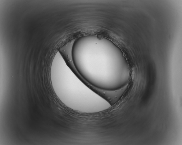 X0000085321059200703091110