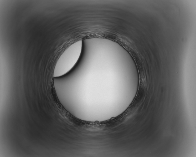 X0000085321060200703091110
