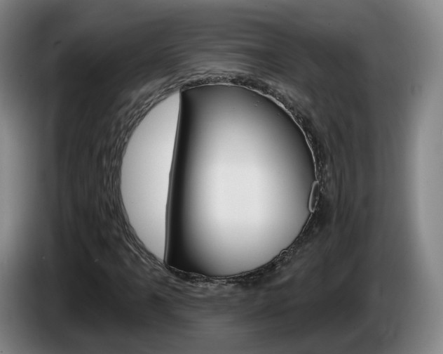 X0000085321061200703091110
