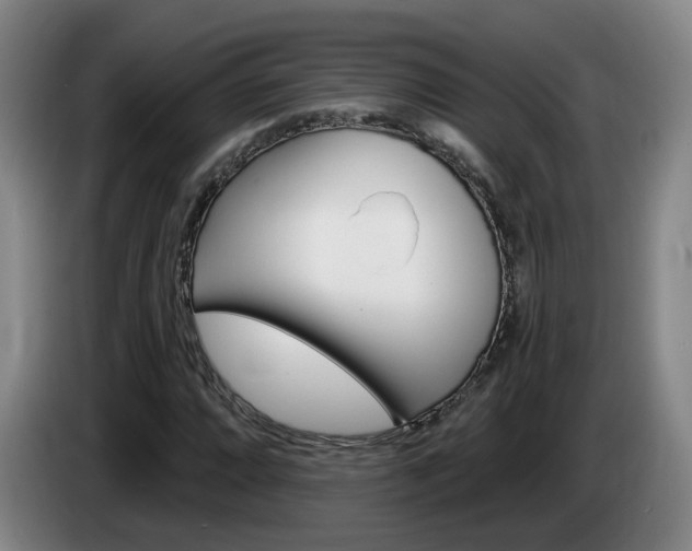 X0000085321064200703091110
