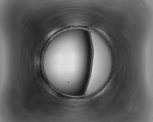 X0000085321065200703091110