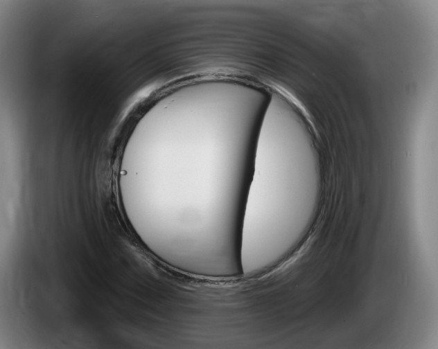 X0000085321067200703091110