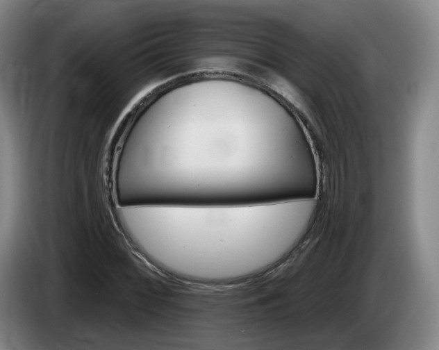 X0000085321068200703091110