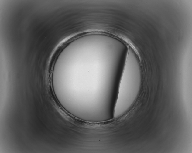 X0000085321072200703091110