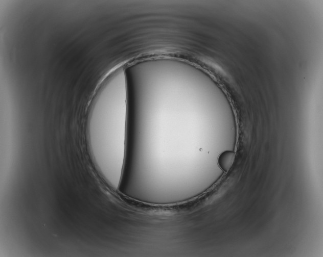 X0000085321073200703091110
