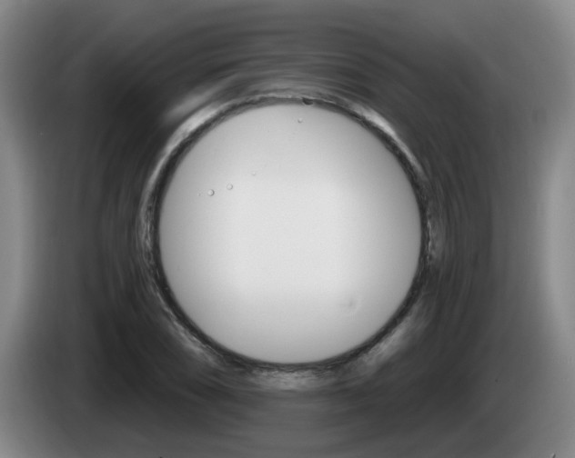 X0000085321074200703091110