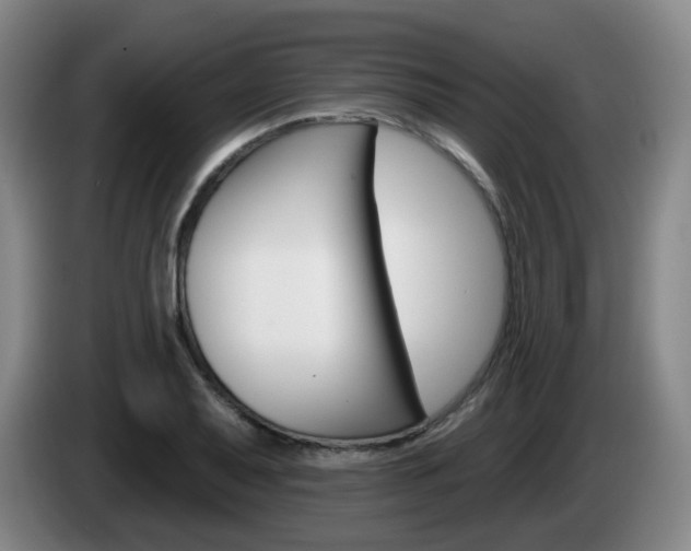 X0000085321079200703091110