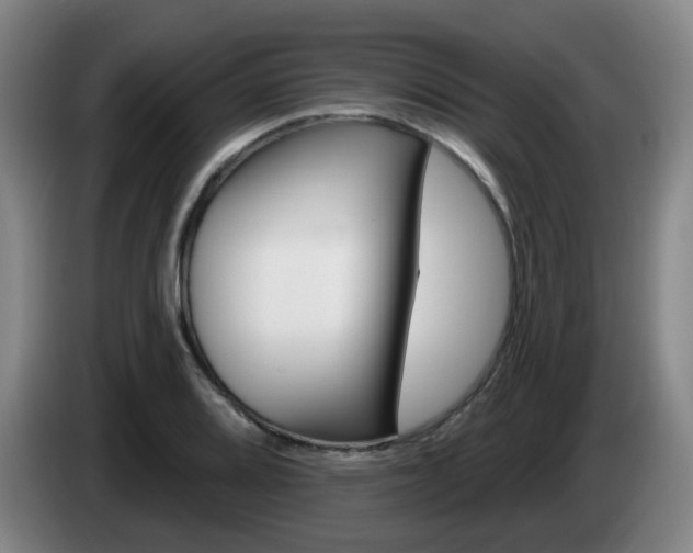 X0000085321080200703091110