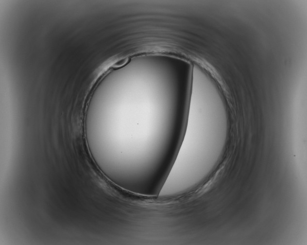 X0000085321081200703091110