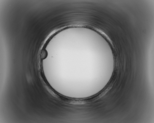 X0000085321083200703091110