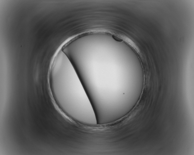 X0000085321084200703091110