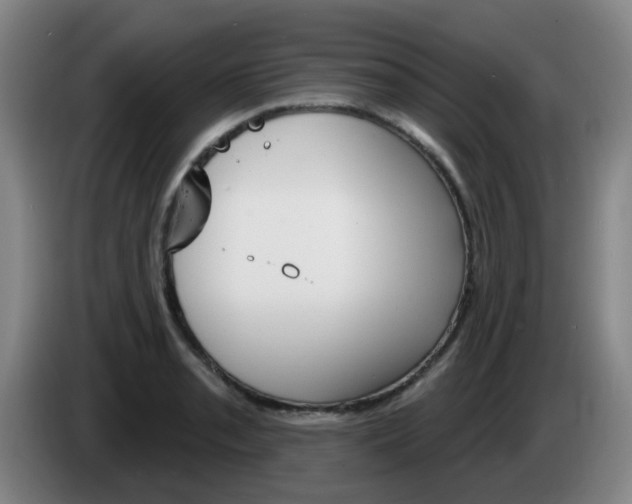 X0000085321085200703091110