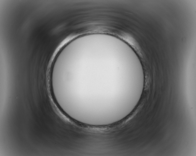 X0000085321086200703091110