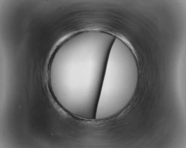X0000085321088200703091110
