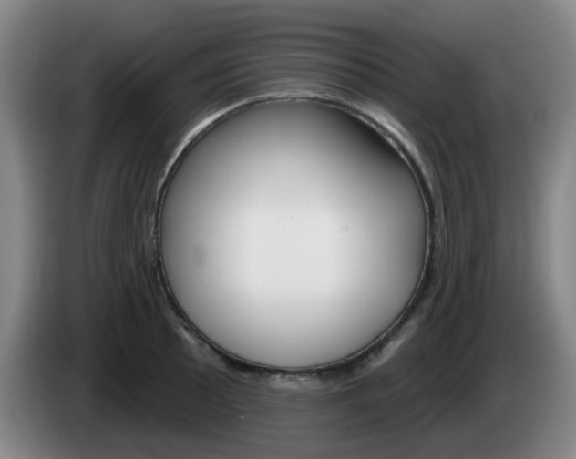 X0000085321089200703091110