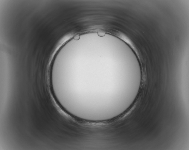 X0000085321090200703091110