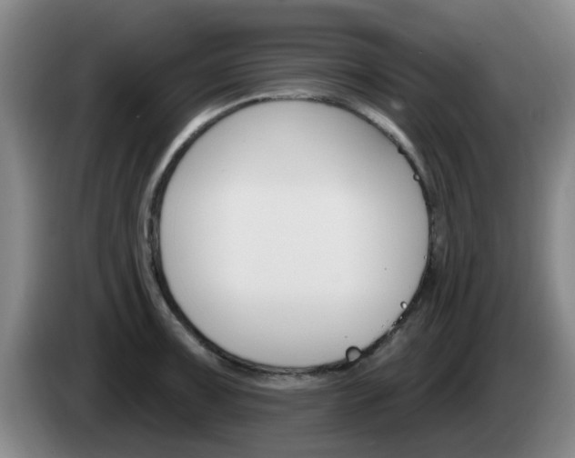 X0000085321091200703091110