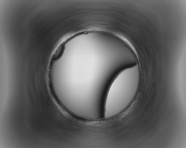 X0000085321093200703091110
