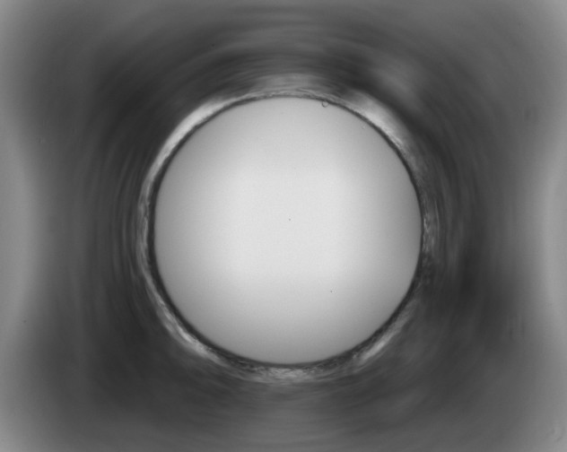 X0000085321094200703091110