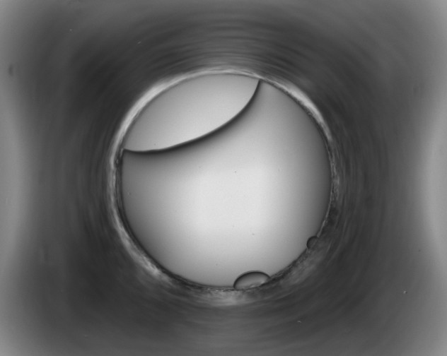 X0000085321096200703091110