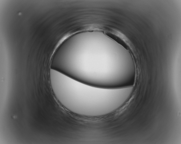 X0000085321097200703091110