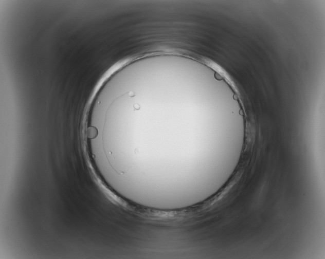 X0000085321098200703091110