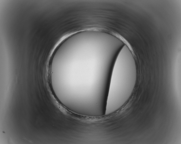 X0000085321099200703091110