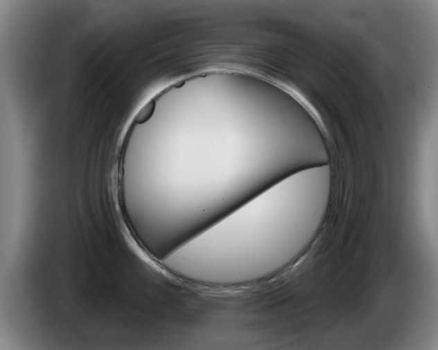 X0000085321100200703091110