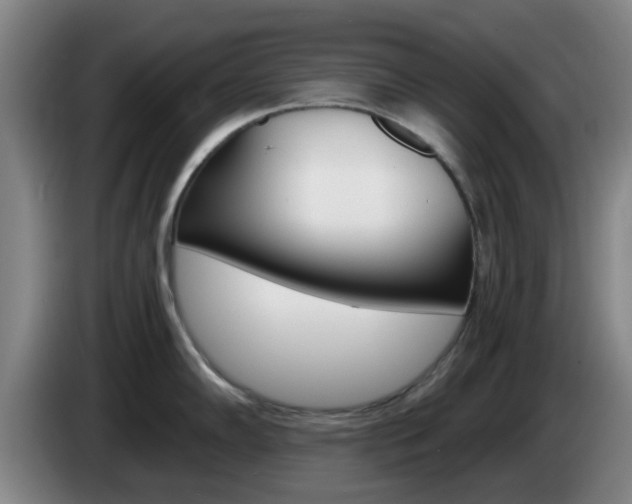 X0000085321102200703091110