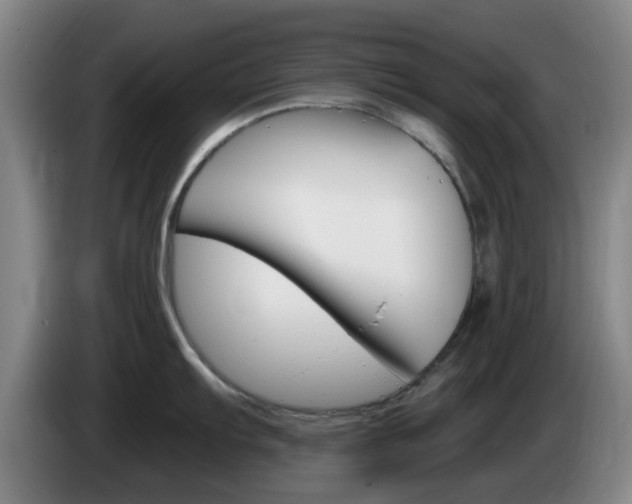 X0000085321103200703091110