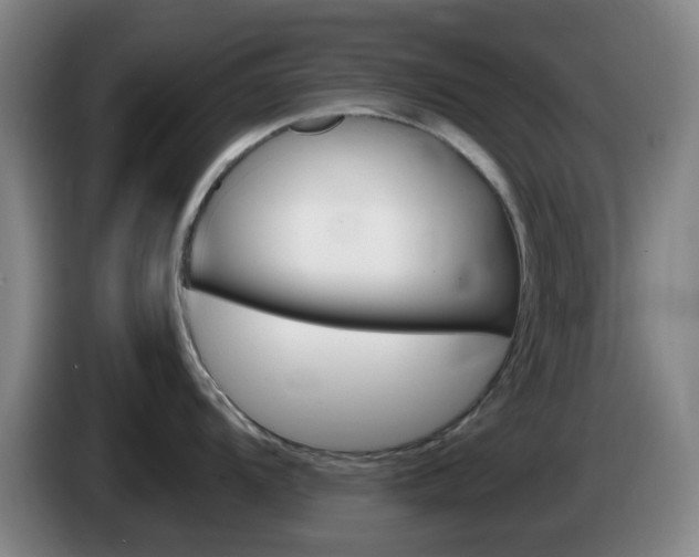 X0000085321104200703091110