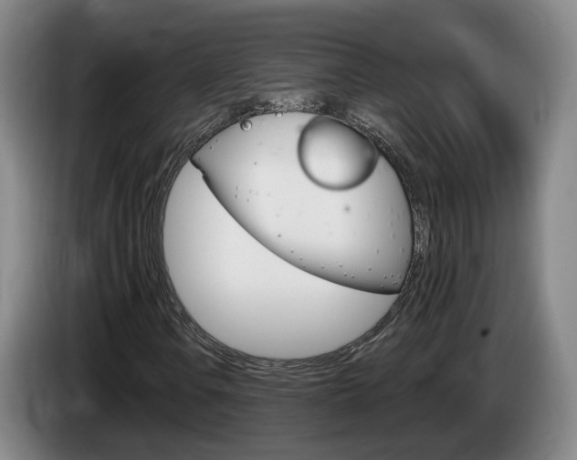 X0000085321106200703091109