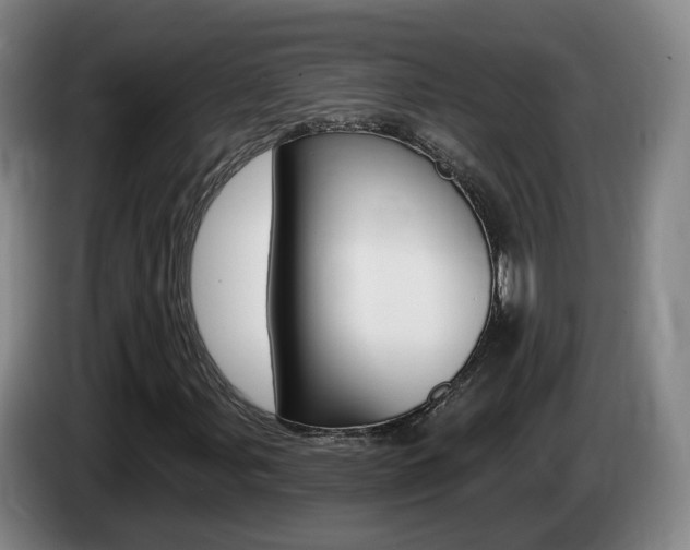 X0000085321107200703091109