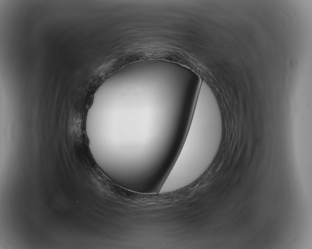 X0000085321108200703091109
