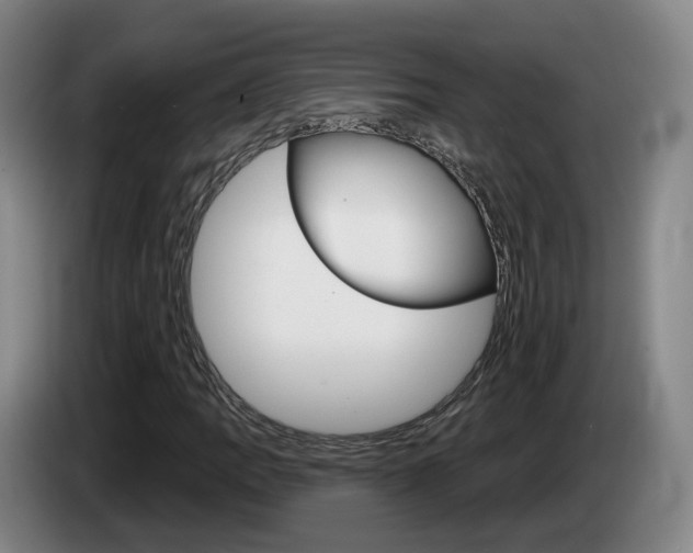 X0000085321109200703091109