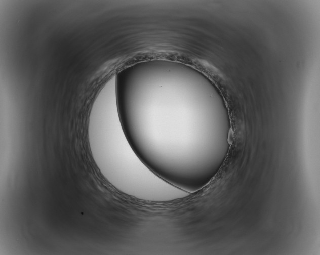 X0000085321110200703091109