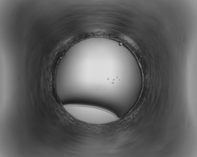 X0000085321111200703091109