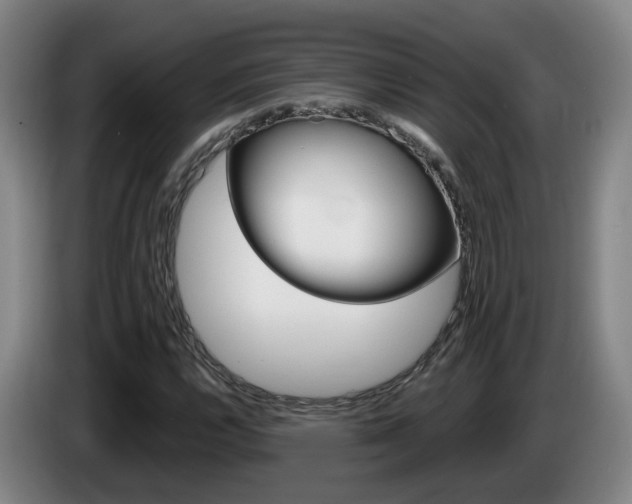 X0000085321112200703091109