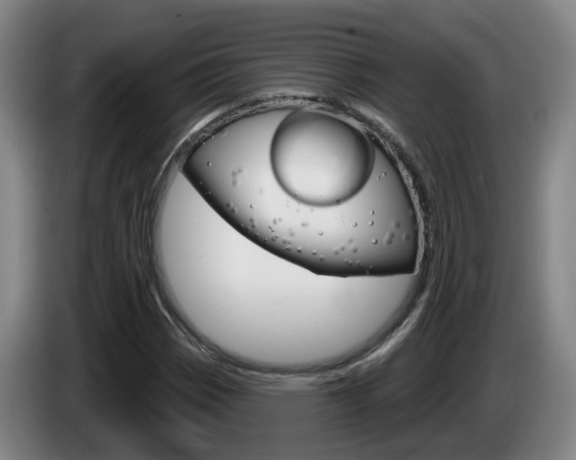 X0000085321113200703091109